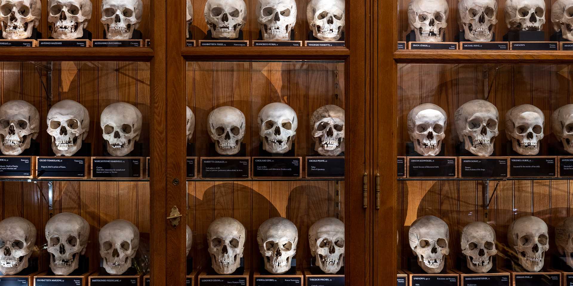 Mutter Museum